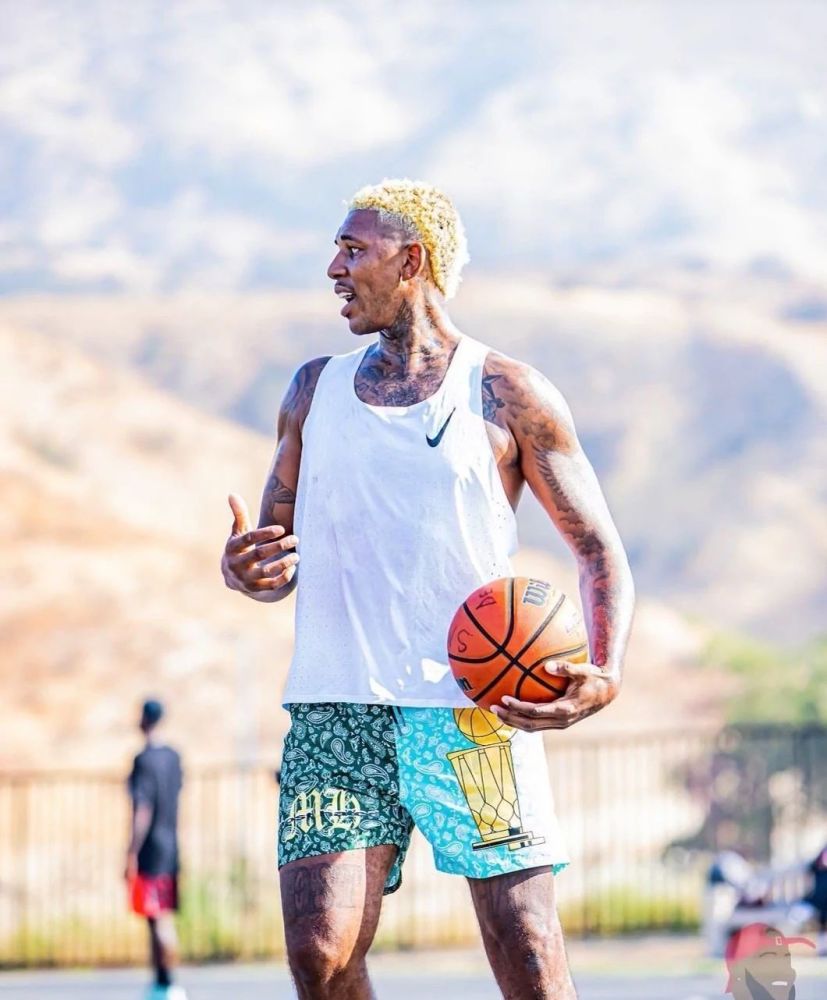 认知的系统 认知的系统