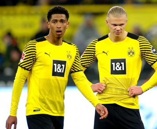 跑者口碑与 跑者口碑与